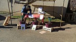 DSC02320.jpg