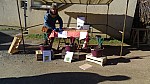 DSC02321.jpg