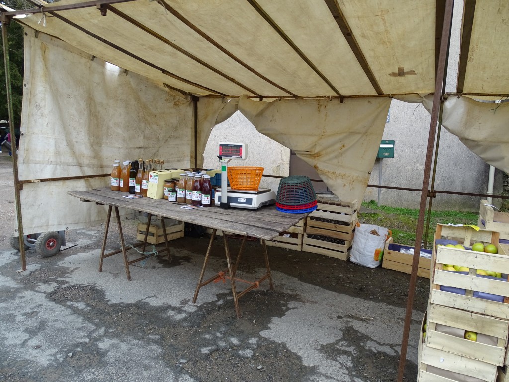DSC03961.jpg