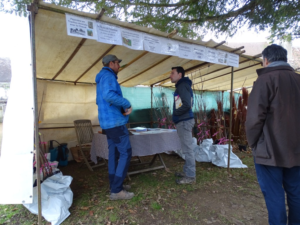 DSC03988.jpg