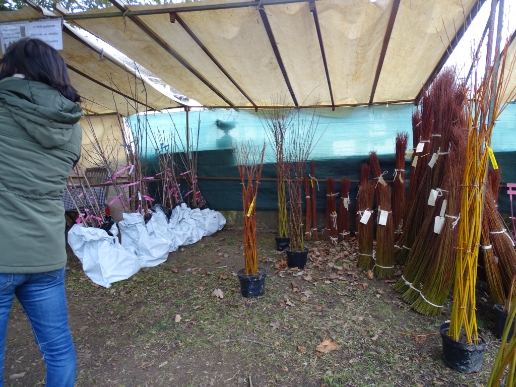 DSC03989.jpg