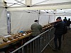 DSC03983.jpg