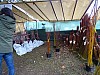 DSC03989.jpg