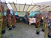 DSC03990.jpg