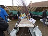 DSC03991.jpg