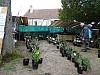 DSC03993.jpg