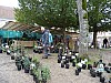 DSC03994.jpg