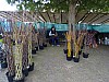 DSC03995.jpg