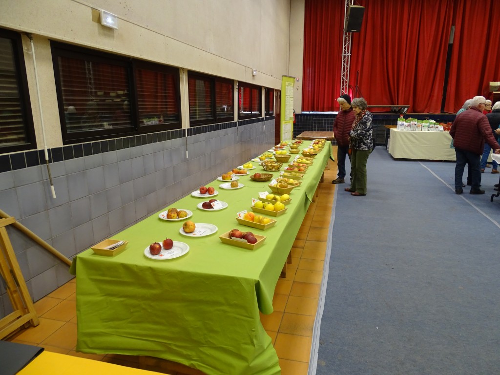DSC04489.jpg