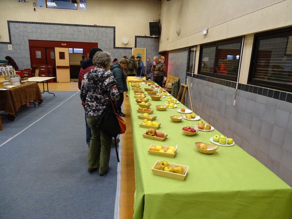DSC04491.jpg