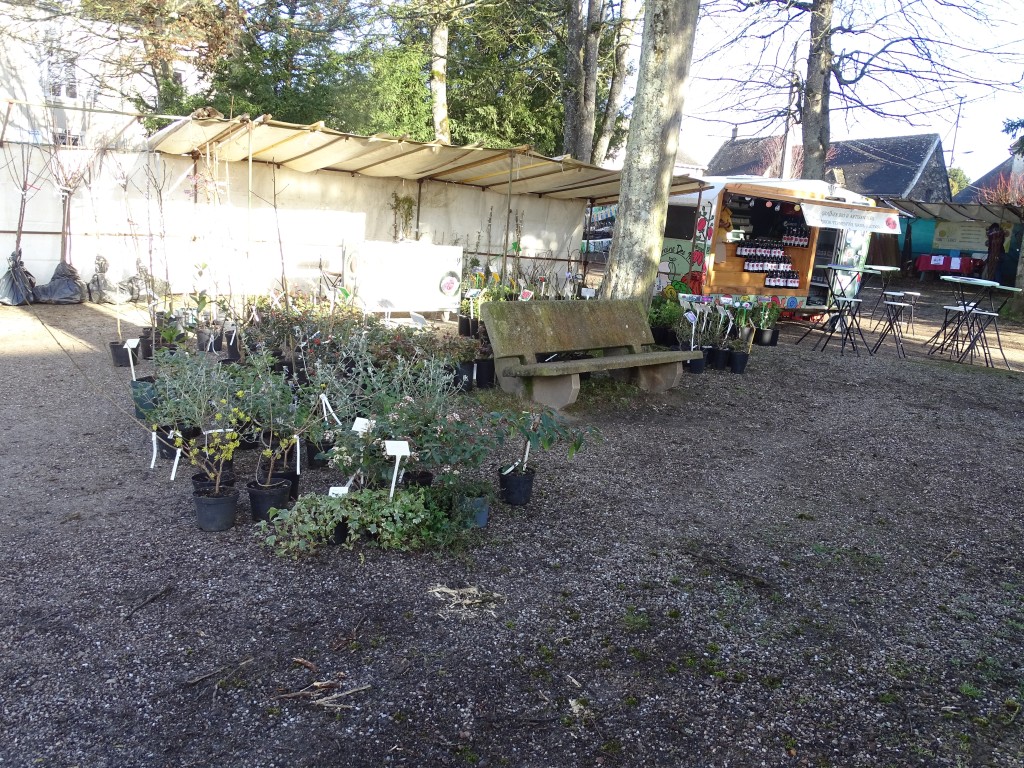 DSC04502.jpg