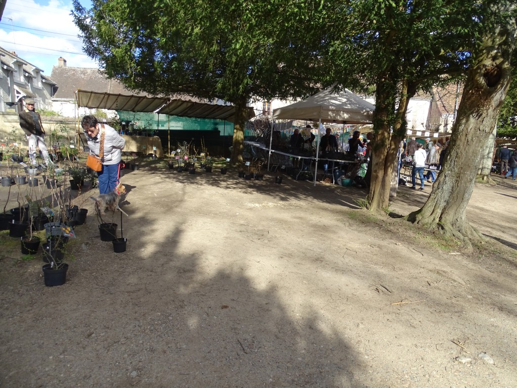 DSC04514.jpg