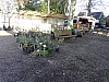 DSC04503.jpg