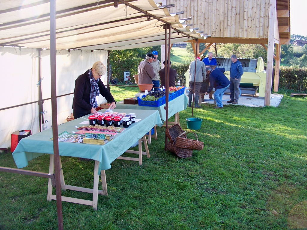 vendanges_2015_02.jpg
