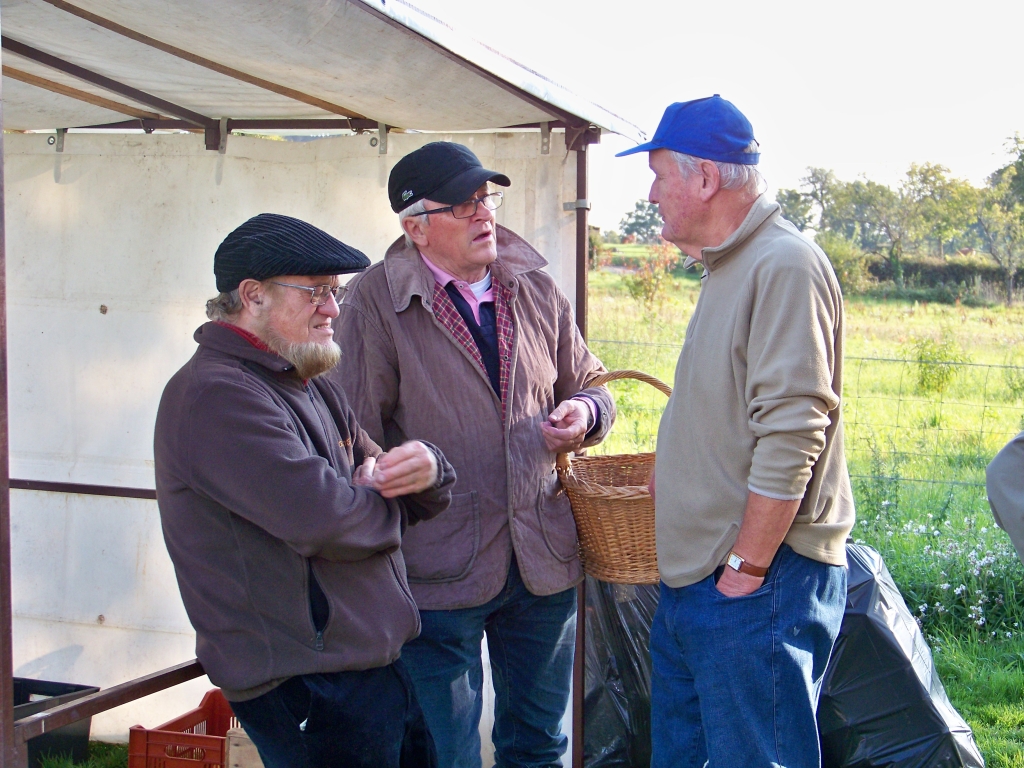 vendanges_2015_06.jpg