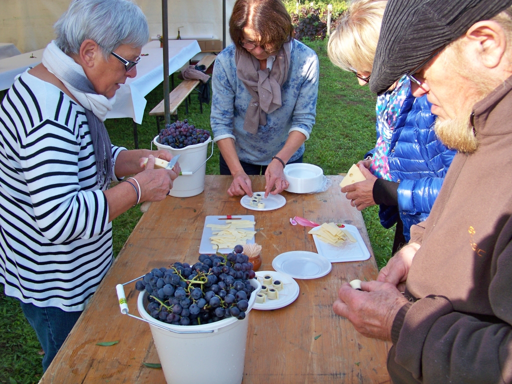 vendanges_2015_12.jpg