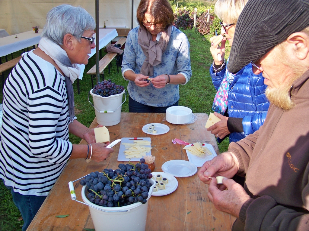 vendanges_2015_13.jpg
