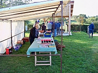 vendanges_2015_01.jpg