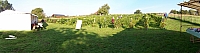 vendanges_2015_11.jpg