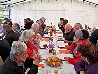 vendanges_2015_26.jpg