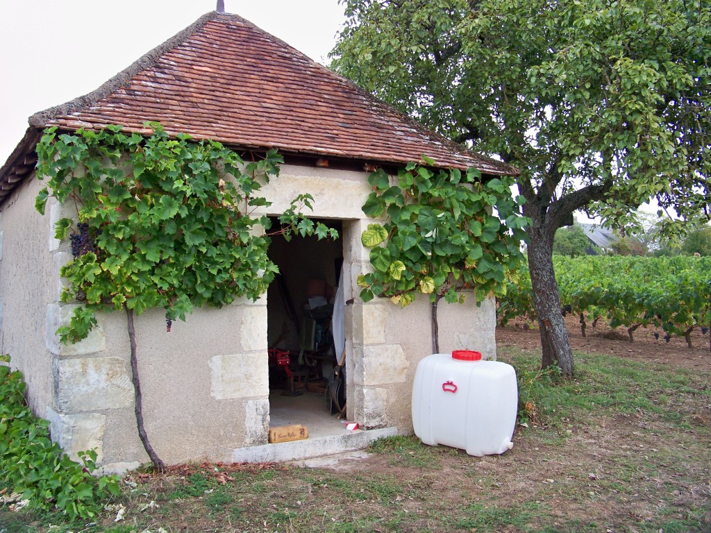 100_7452.jpg
