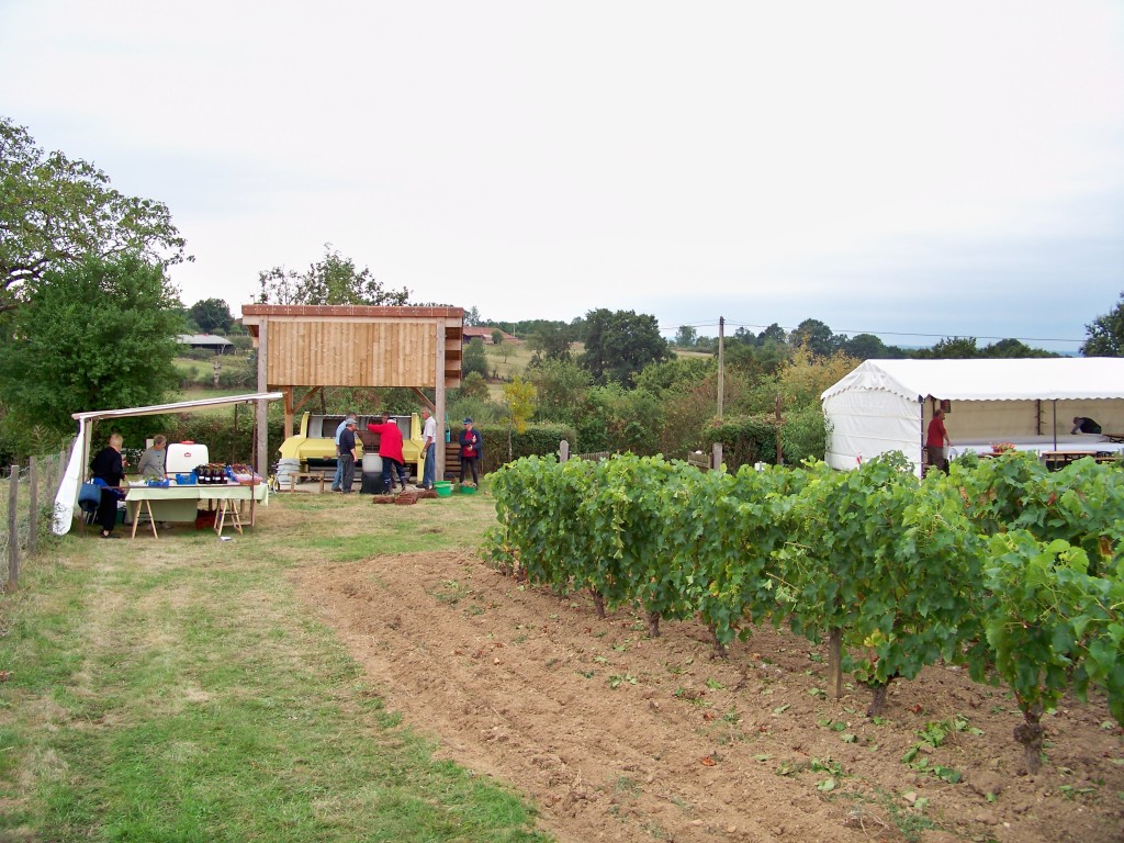 100_7453.jpg