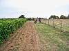 100_7442.jpg