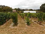 DSCN0894.jpg
