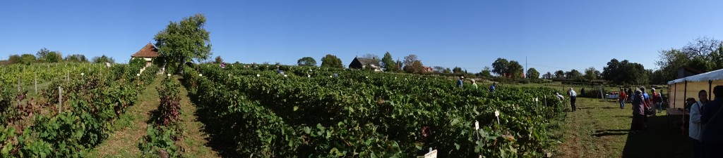 DSC03473.jpg