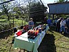 DSC03459.jpg