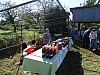 DSC03460.jpg