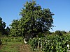 DSC03467.jpg