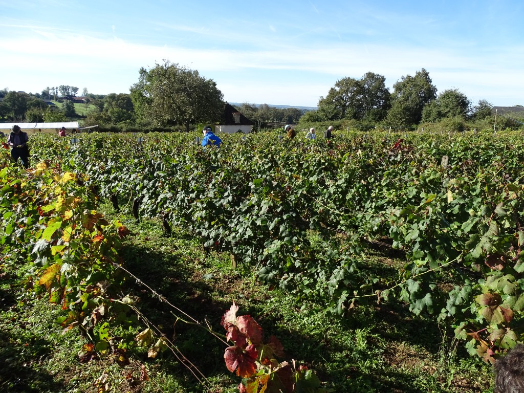 DSC04154.jpg