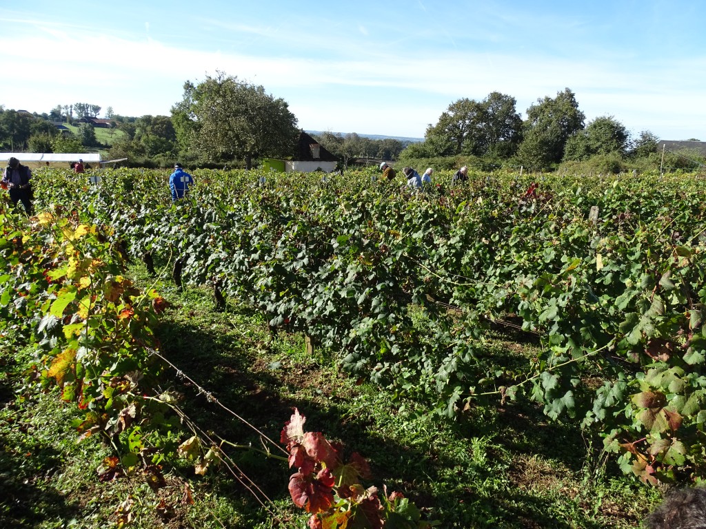 DSC04155.jpg