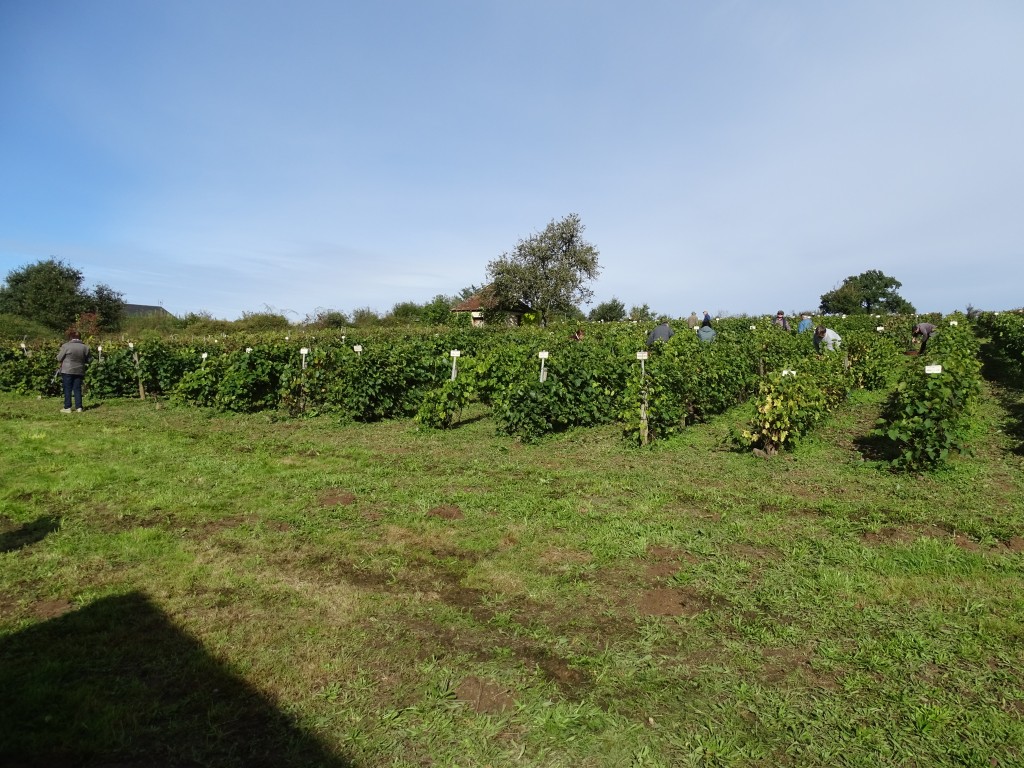DSC04164.jpg