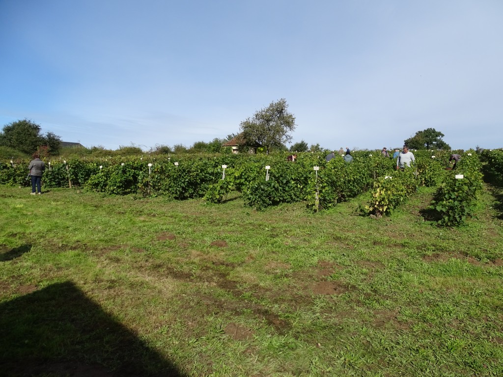 DSC04165.jpg