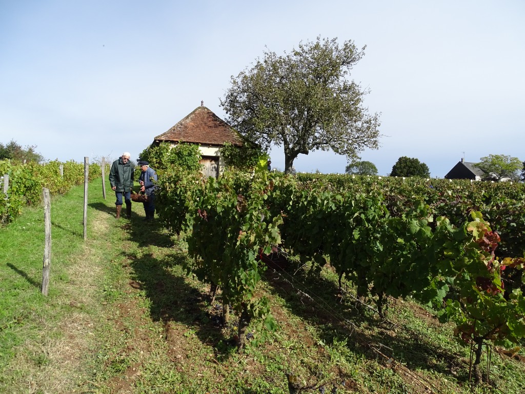 DSC04176.jpg