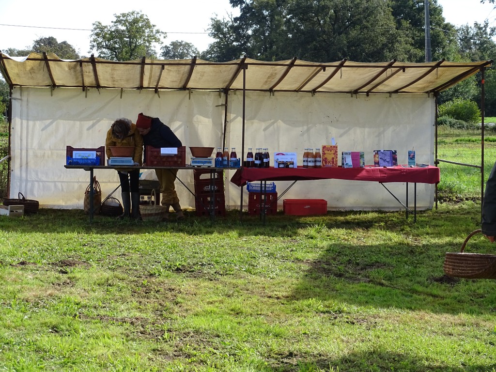 DSC04185.jpg
