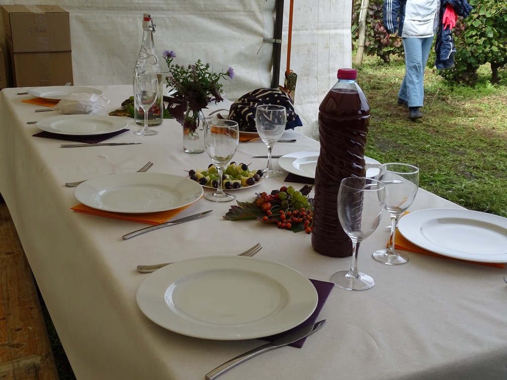 DSC04200.jpg