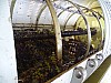 DSC04163.jpg