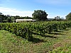 DSC04166.jpg