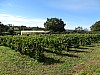 DSC04167.jpg
