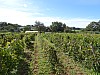 DSC04169.jpg