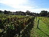 DSC04171.jpg