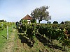 DSC04175.jpg