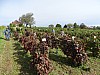 DSC04178.jpg