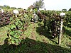 DSC04181.jpg