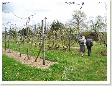 verger_ecole_2007_03