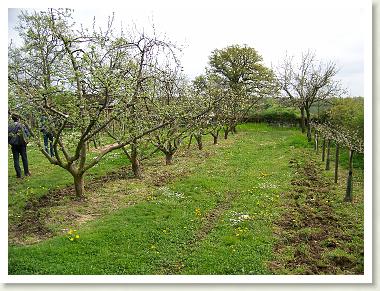 verger_ecole_2007_04
