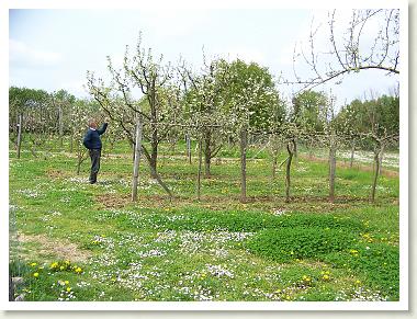 verger_ecole_2007_08